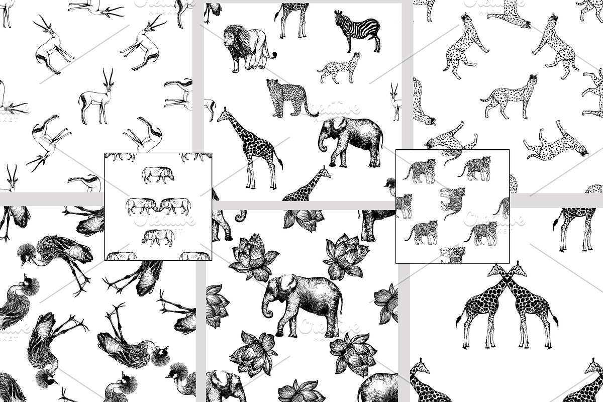 Animals, an Animal Illustration by Ecaterina Sciuchina (Photo 4 of 5)