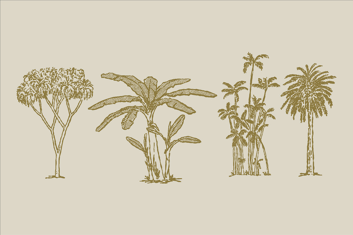 East Indies Botanical Illustrations, a Decorative Illustration by Rusted Works (Photo 10 of 10)