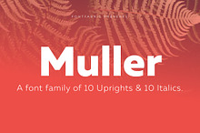 Muller Family - 44 fonts