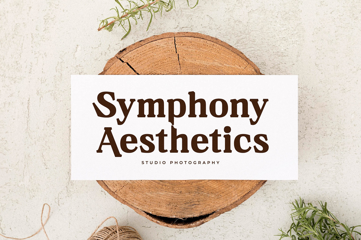 Neraphic A Modern Serif Font, a Serif Font by Storytype Studio (Photo 11 of 15)