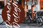 Prime Joyful Brush Calligraphy Font, a Script Font by stylishtype.co (Thumbnail 2 of 20)