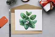 Botanical Wellness Watercolor Png, an Icon by RobertsArt (Thumbnail 4 of 7)
