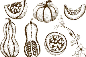 Hand Drawn Vintage Pumpkins