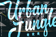 Brooklyn Script, a Script Font by Flycatcher Design (Thumbnail 4 of 6)