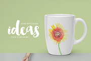 Watercolor Flower Pack, an Illustration by Graphic Goods Co (Thumbnail 3 of 6)