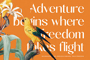 Midnight Goyage Modern Sans Serif, a Sans Serif Font by timelesstype.co (Thumbnail 4 of 20)