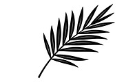 Stylish tropical palm wall decor, an Illustration by Amazin_art (Thumbnail 31 of 33)