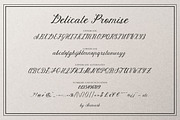 Delicate Promise | Vintage Script, a Script Font by AnMark (Thumbnail 16 of 18)