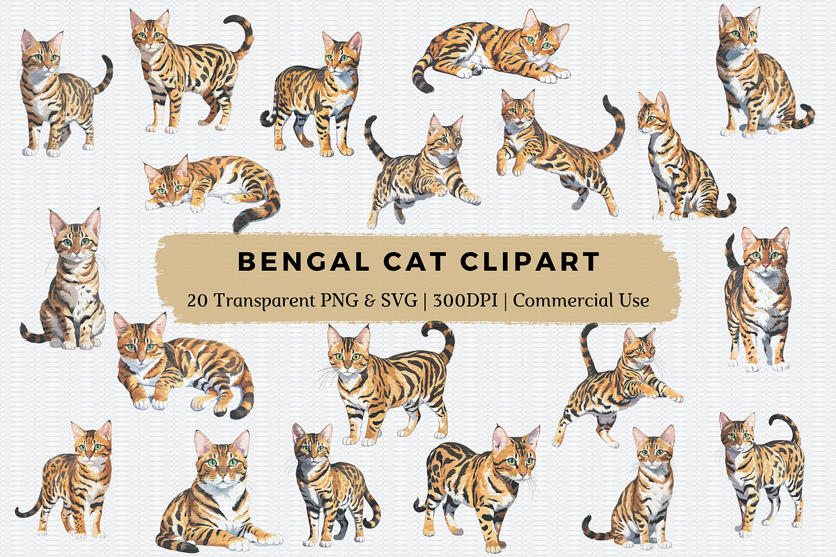 Bengal Cat Clipart, an Animal Illustration by Crafts of The Moon (Photo 1 of 4)