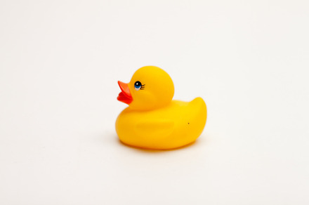 Yellow Rubber Duck Stock Photograph preview 6