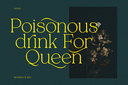 Alpinecia, a Serif Font by Pista Mova (Thumbnail 5 of 19)