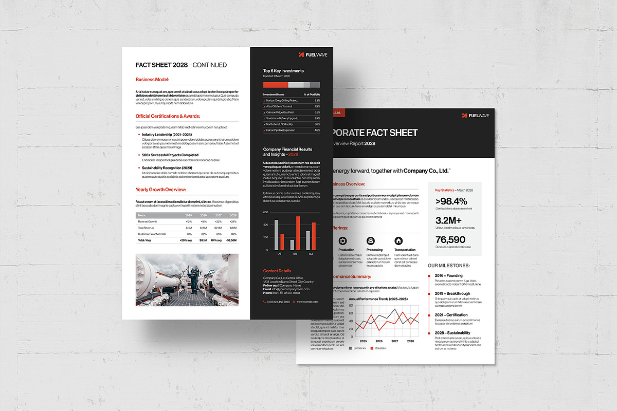 Factsheet Template, a Flyer Template by BrandPacks (Photo 4 of 5)