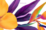 Neon Tropics watercolor, an Object Graphic by Salted Galaxy (Thumbnail 16 of 16)