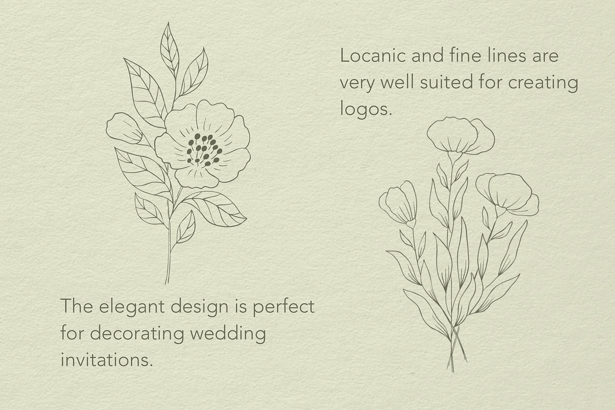 Botanical Procreate stamps, cliparts, a Brush Add-On by Veronika Gotovceva (Photo 2 of 6)