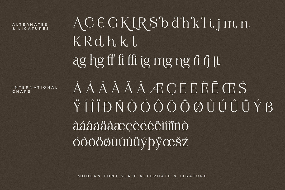 Gerislan Modern Font Serif, a Serif Font by Storytype Studio (Photo 14 of 15)