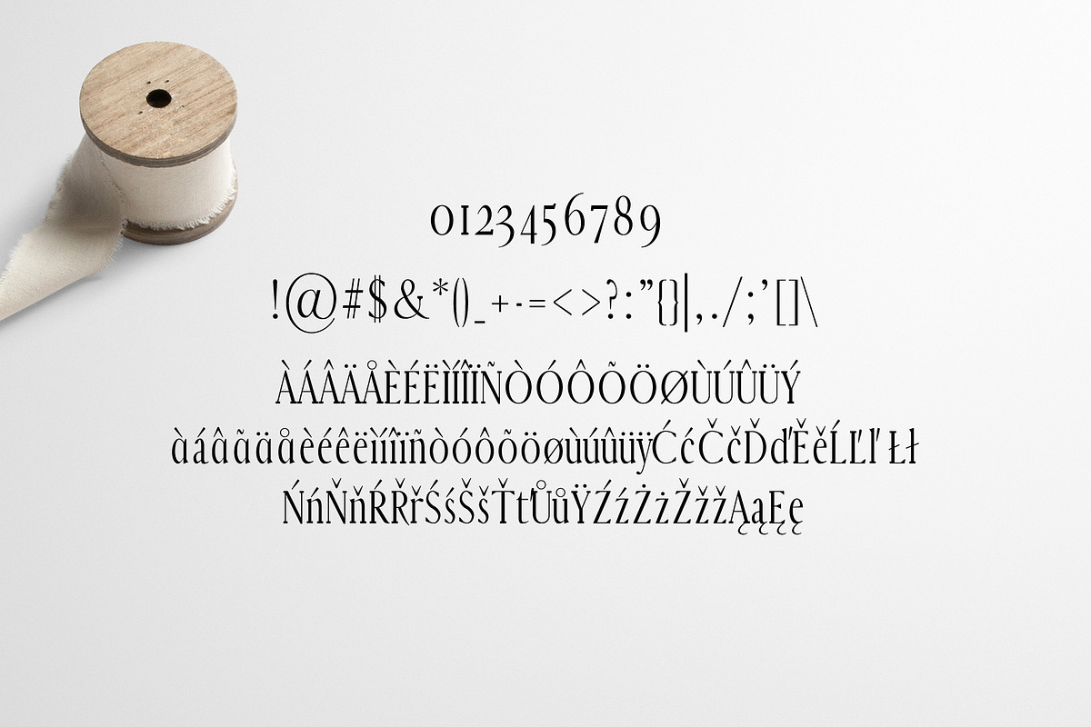 Earwyn Serif Font Family Pack preview 4