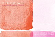 Procreate Watercolor Brush & Stamps, a Brush Add-On by CC CREATIVE CO (Thumbnail 12 of 21)