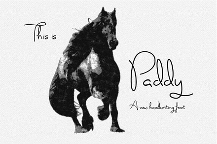 Paddy Display font free download, a Handwritten Font by PremiumMockup