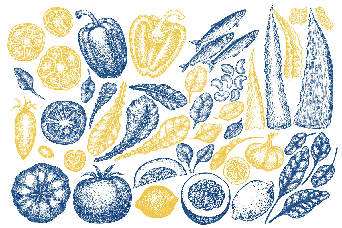 Collagen Diet Vector Collection, a Food Illustration by Lubov Illustrations Shop (Photo 4 of 8)