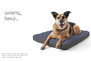 Pet Bed Mockups with Smart Object, a Product Mockup by mock-ups (Thumbnail 5 of 13)