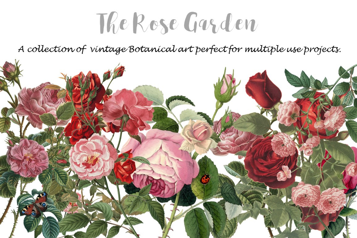 Rose Garden, an Invitation Template by Ginger Duck Graphics (Photo 1 of 6)