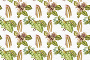 Hazelnuts in botanical style, a Food Illustration by Ann Astro (Thumbnail 7 of 8)
