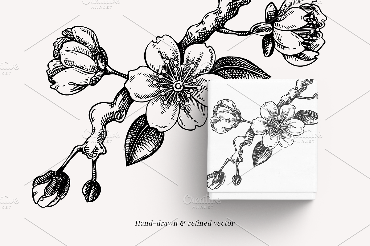 Vintage Cherry Blossom Vector Set, an Object Graphic by Yevheniia (Photo 2 of 9)