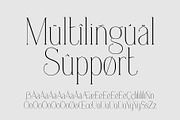 Everleigh Serif font, a Serif Font by Gleb Guralnyk (Thumbnail 8 of 8)
