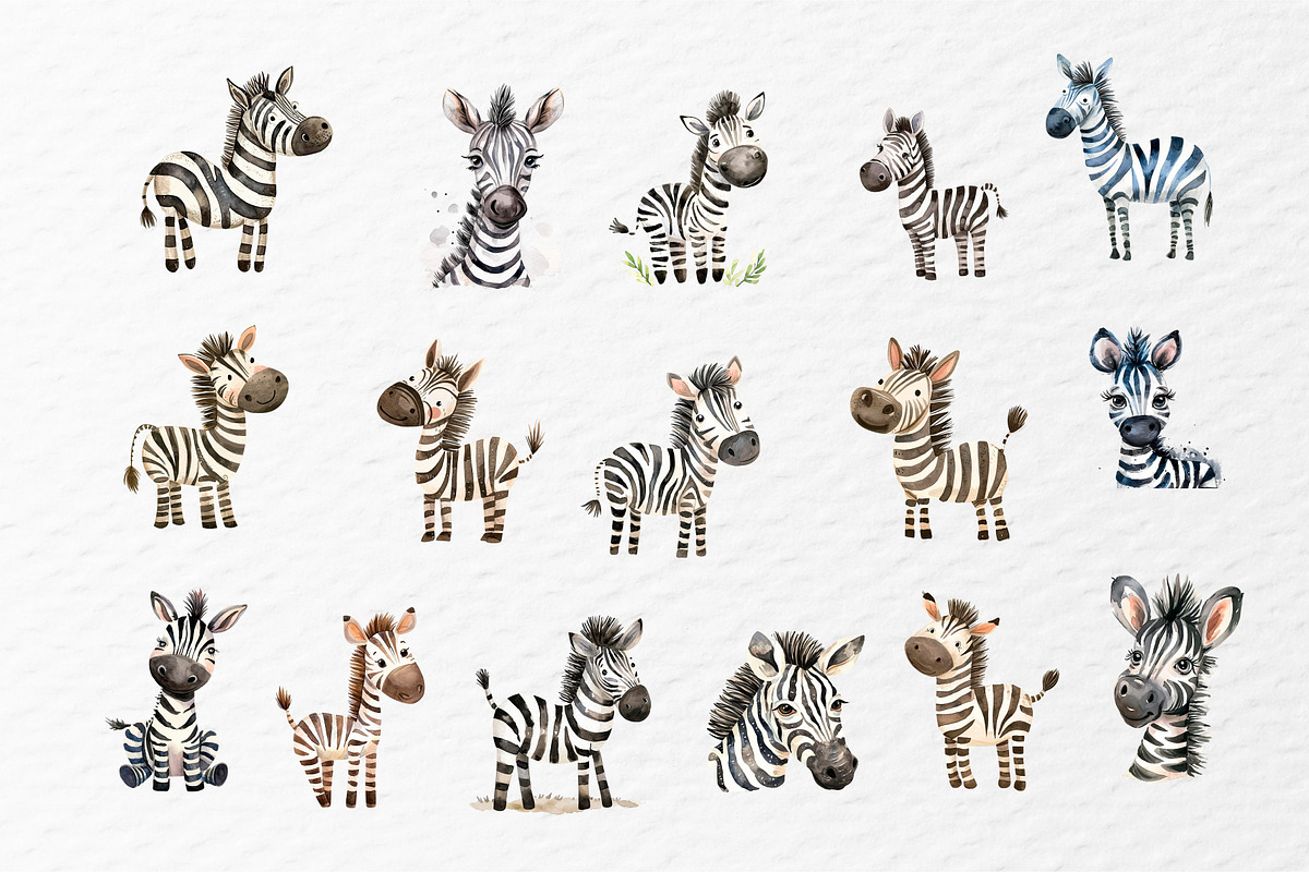 Watercolor zebra clipart, an Illustration by Idressart (Photo 10 of 10)