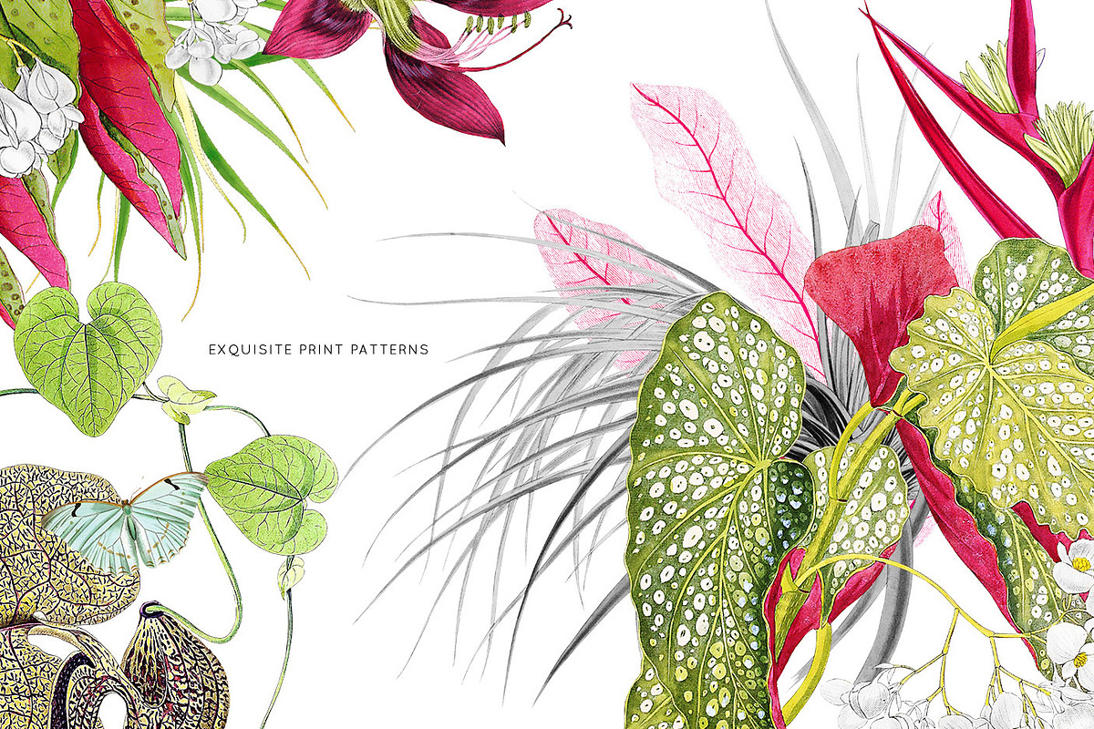 Blómstra, Luxury Spring 2021 Prints!, a Pattern Graphic by Pink Linen (Photo 3 of 14)