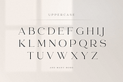 abigail - unique ligature font, a Serif Font by Sensatype (Thumbnail 19 of 32)