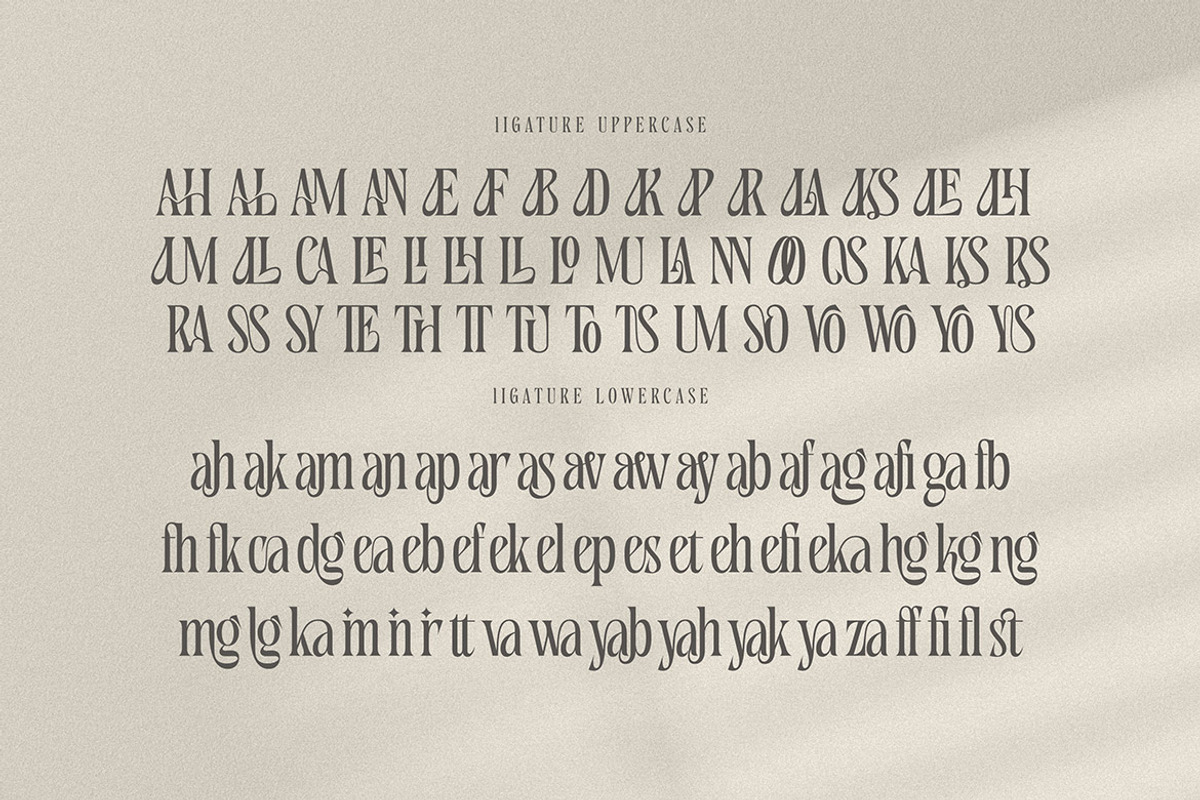 Nekavand Condensed Serif, a Serif Font by Cruzine (Photo 6 of 7)