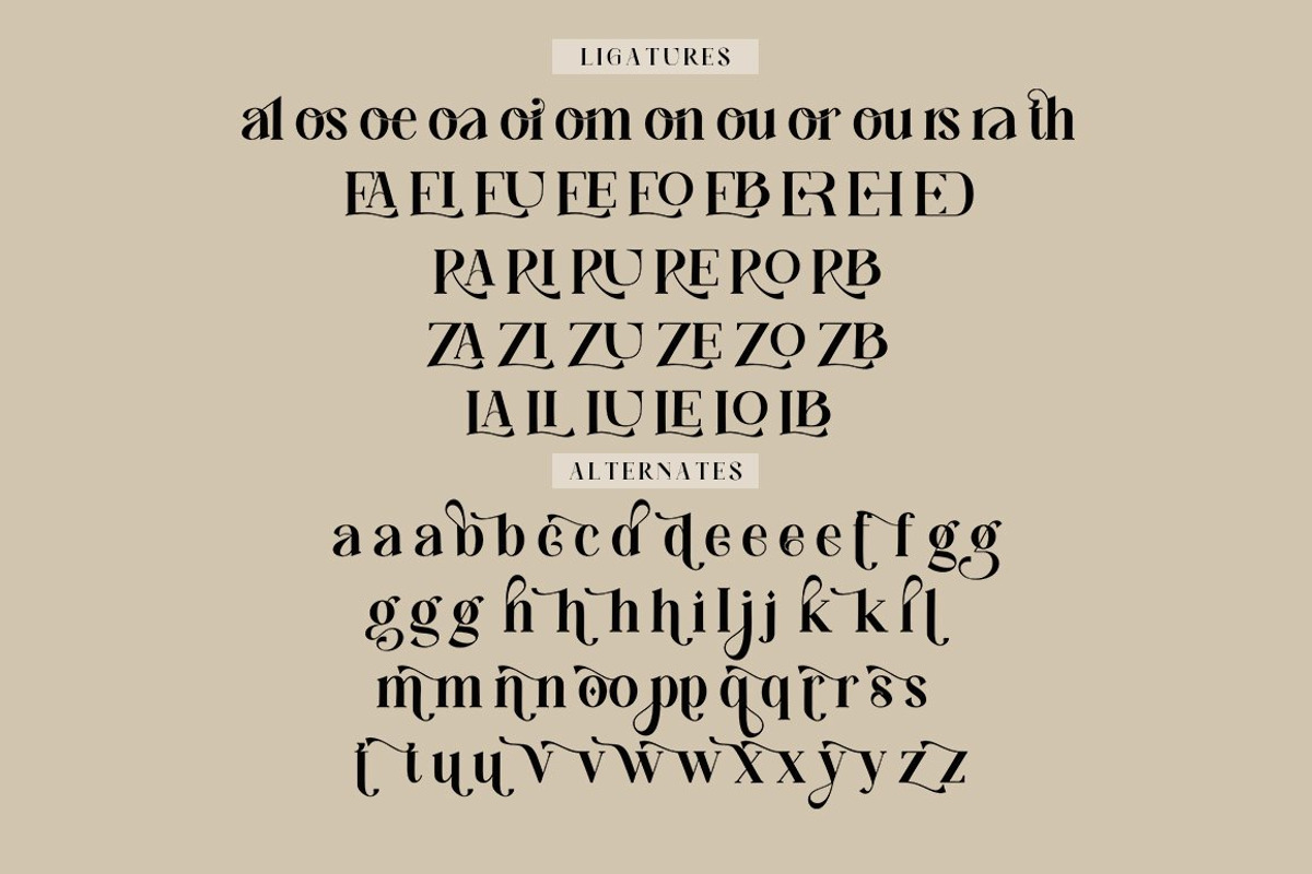 Balgon Serif, a Serif Font by Typehill (Photo 11 of 11)