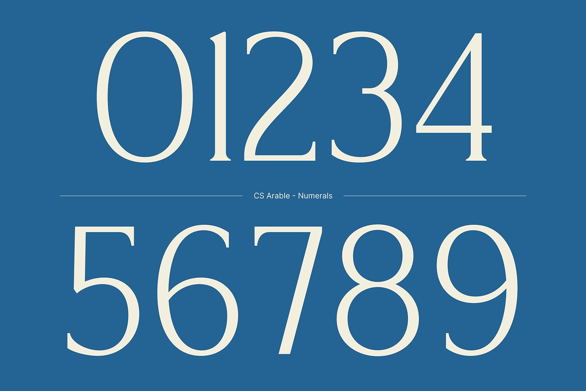 CS Arable – Elegant Serif Font, a Serif Font by Craft Supply Co. (Photo 6 of 8)