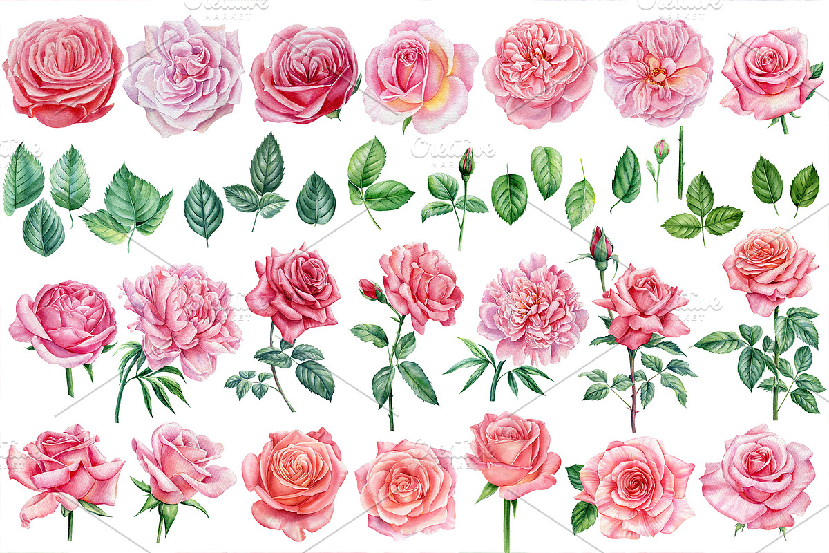 Garden Flowers hand drawn watercolor, a Decorative Illustration by Hanna Hryharenka (Photo 3 of 16)