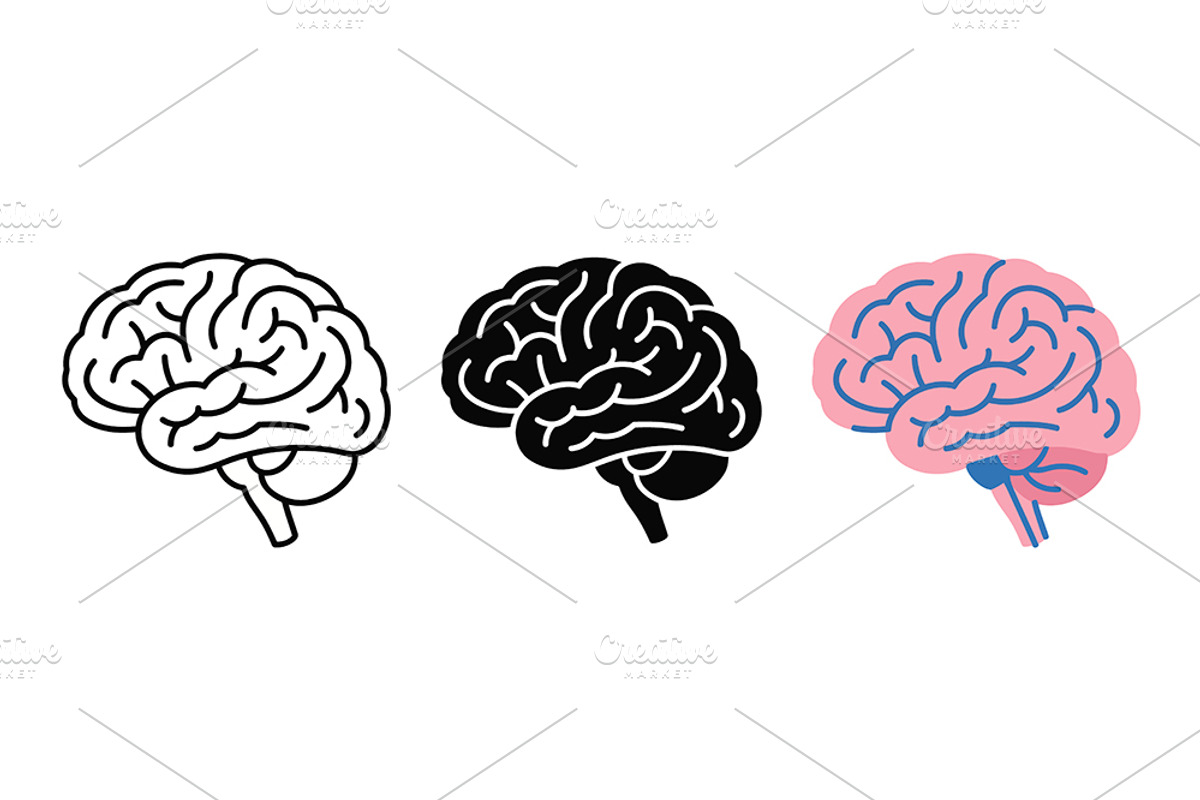 Detailed Human Brain Vector Icon Set, an Object Graphic by Artonix (Photo 2 of 3)