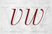 The Letter Editorial – Modern Serif, a Serif Font by Lettertype Studio (Thumbnail 13 of 16)