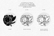 Peonies Line Art SVG, AI, EPS, PNG, a Decorative Illustration by InstaDesignPro (Thumbnail 3 of 12)