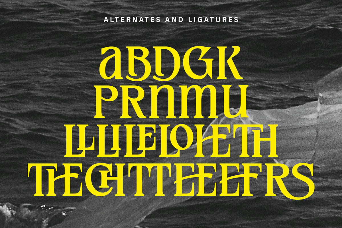 Meginer Nineties - Modern Serif, a Serif Font by Comactype Foundry (Photo 22 of 22)
