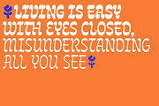 Queenie, a Script Font by Sudtipos (Thumbnail 4 of 8)