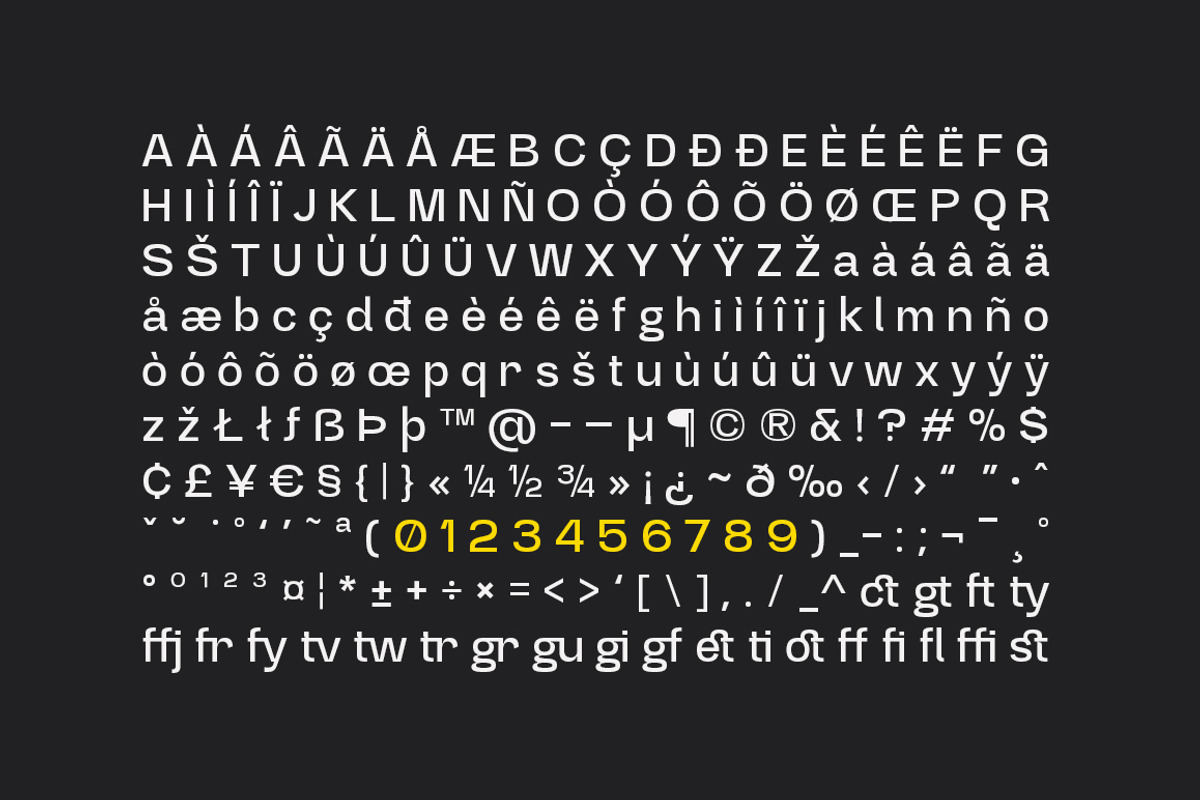 Gadeira, a Sans Serif Font by Fargun Studio (Photo 5 of 15)