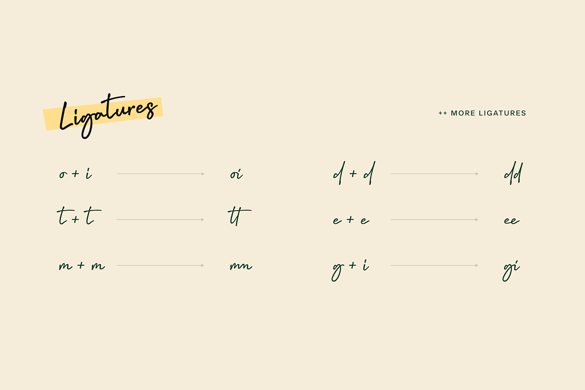 Coldia, a Handwritten Font by Lafontype (Photo 4 of 8)