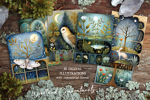Woodland Compartments Illustrations