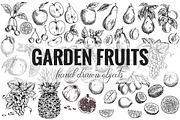 Garden Fruits, vector collection, a Food Illustration by JSolomatina (Thumbnail 3 of 6)