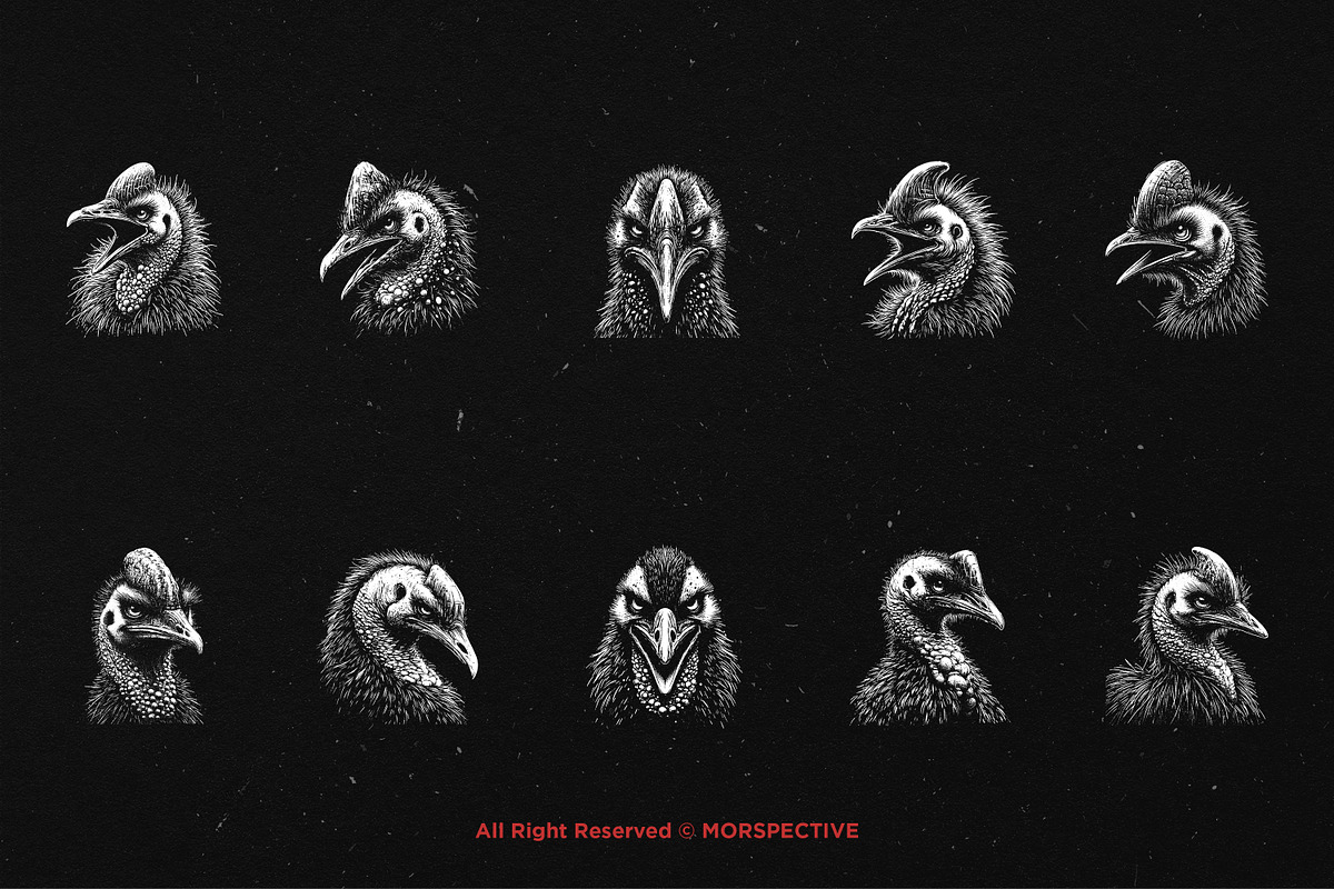 10 Bundle Dark Art Cassowary Bird, an Illustration by Morspective (Photo 6 of 7)