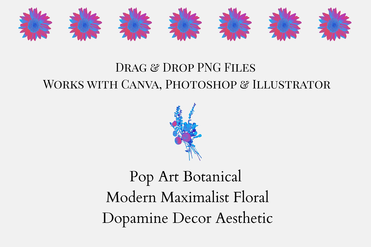 Vibrant Floral PNG Elements Pack, an Object Graphic by CreatingYOU.®, Lori Rice (Photo 7 of 7)
