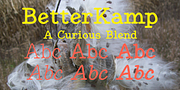 BetterKamp, a Handwritten Font by Ingrimayne Type (Thumbnail 1 of 11)