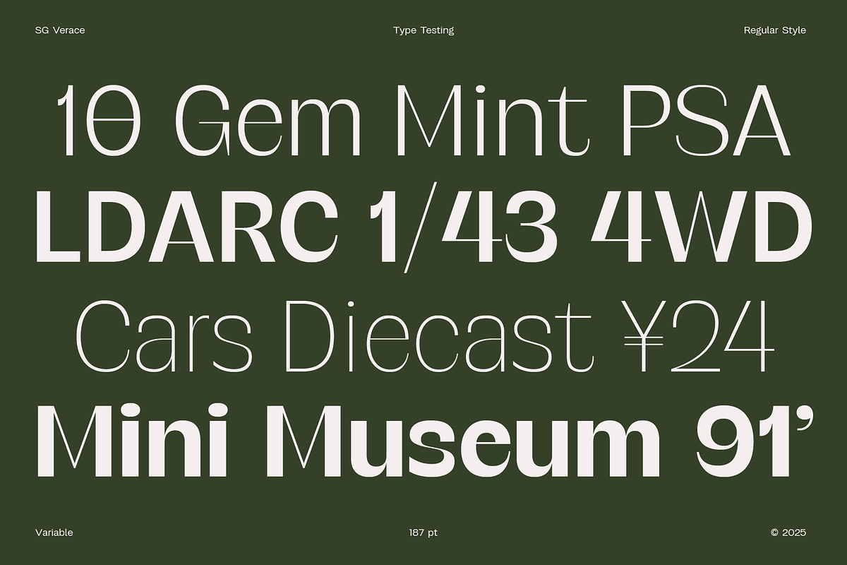 SG Verace Display Font, a Sans Serif Font by Studio Gulden (Photo 10 of 15)