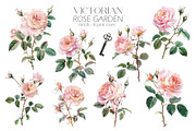 Victorian Rose Garden, an Object Graphic by Elena Dorosh (Thumbnail 3 of 15)