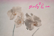 Girly Feminine Script Font, a Script Font by pixelcolours (Thumbnail 2 of 6)